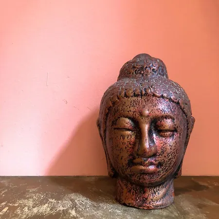 Auberge de jeunesse Hostel Room Rotterdam *