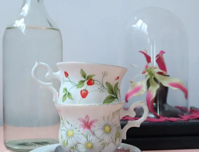 Hostel Room Rotterdam Rotterdam